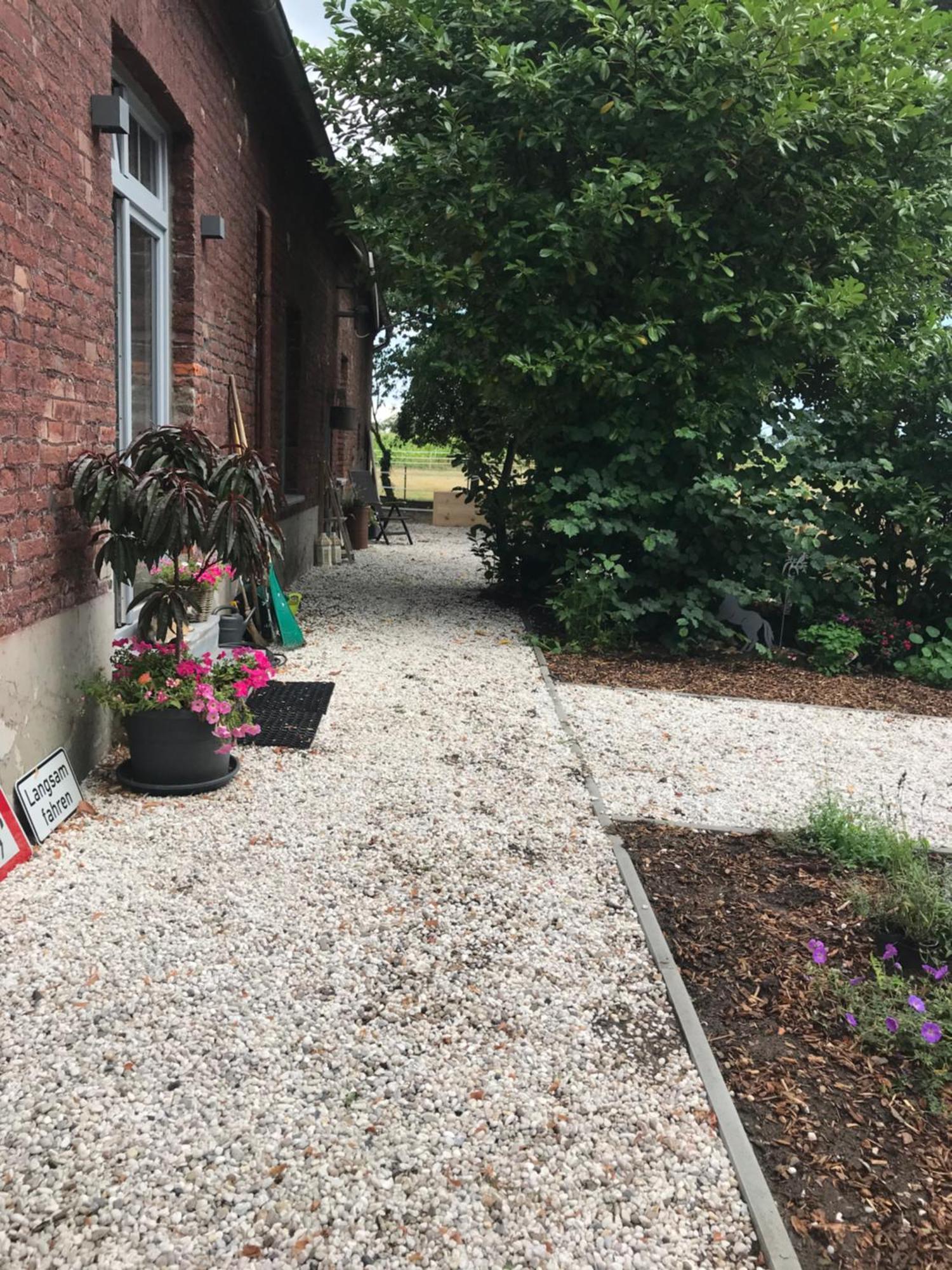 Ks Kotten Bed And Breakfast 레스 외부 사진