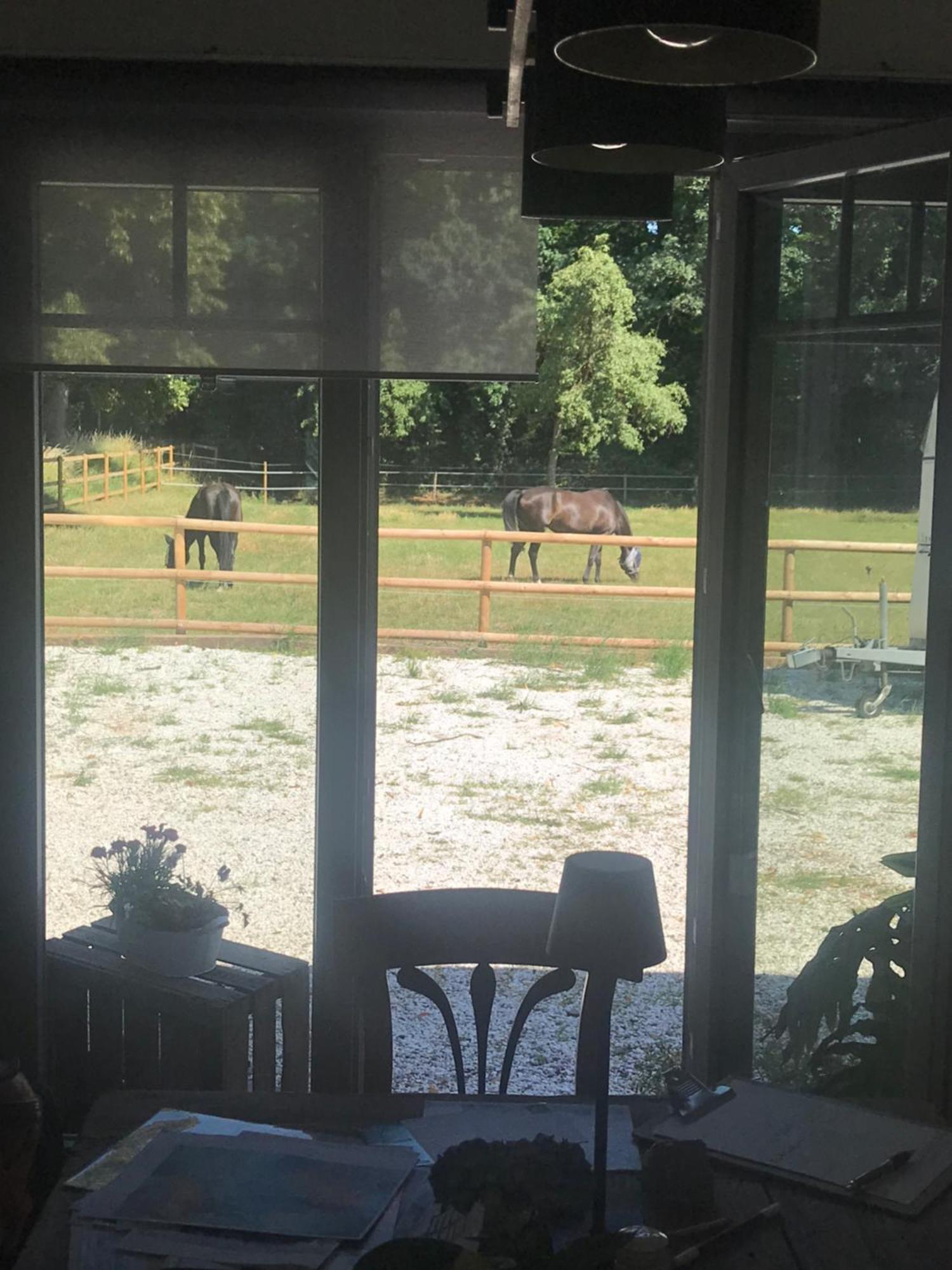 Ks Kotten Bed And Breakfast 레스 외부 사진