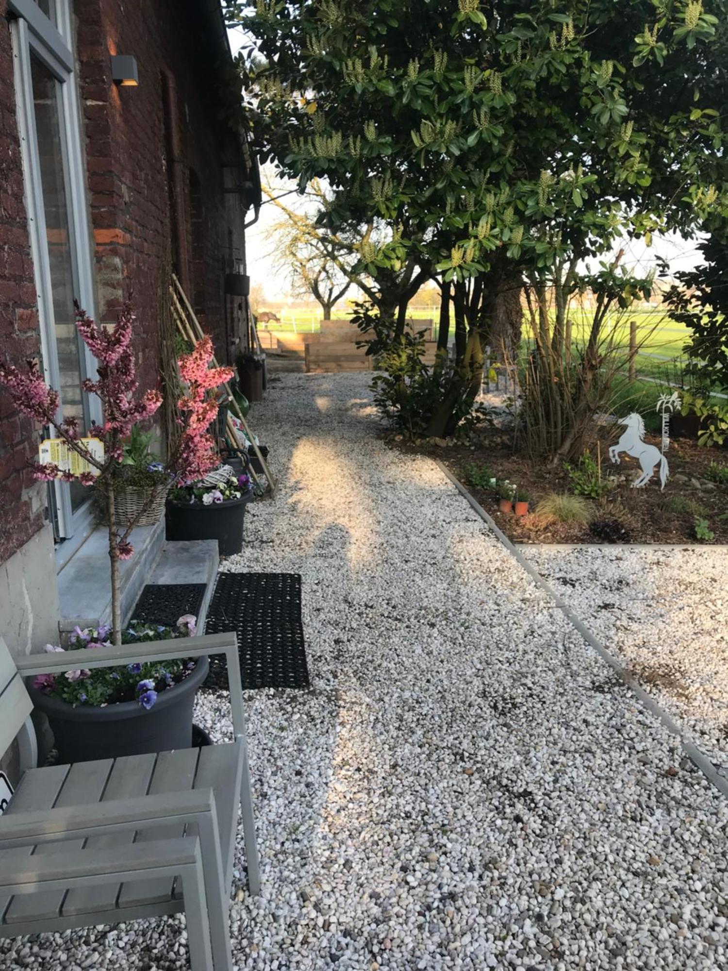 Ks Kotten Bed And Breakfast 레스 외부 사진